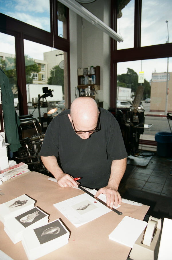 Erah of Inez Postcard - Set of 12