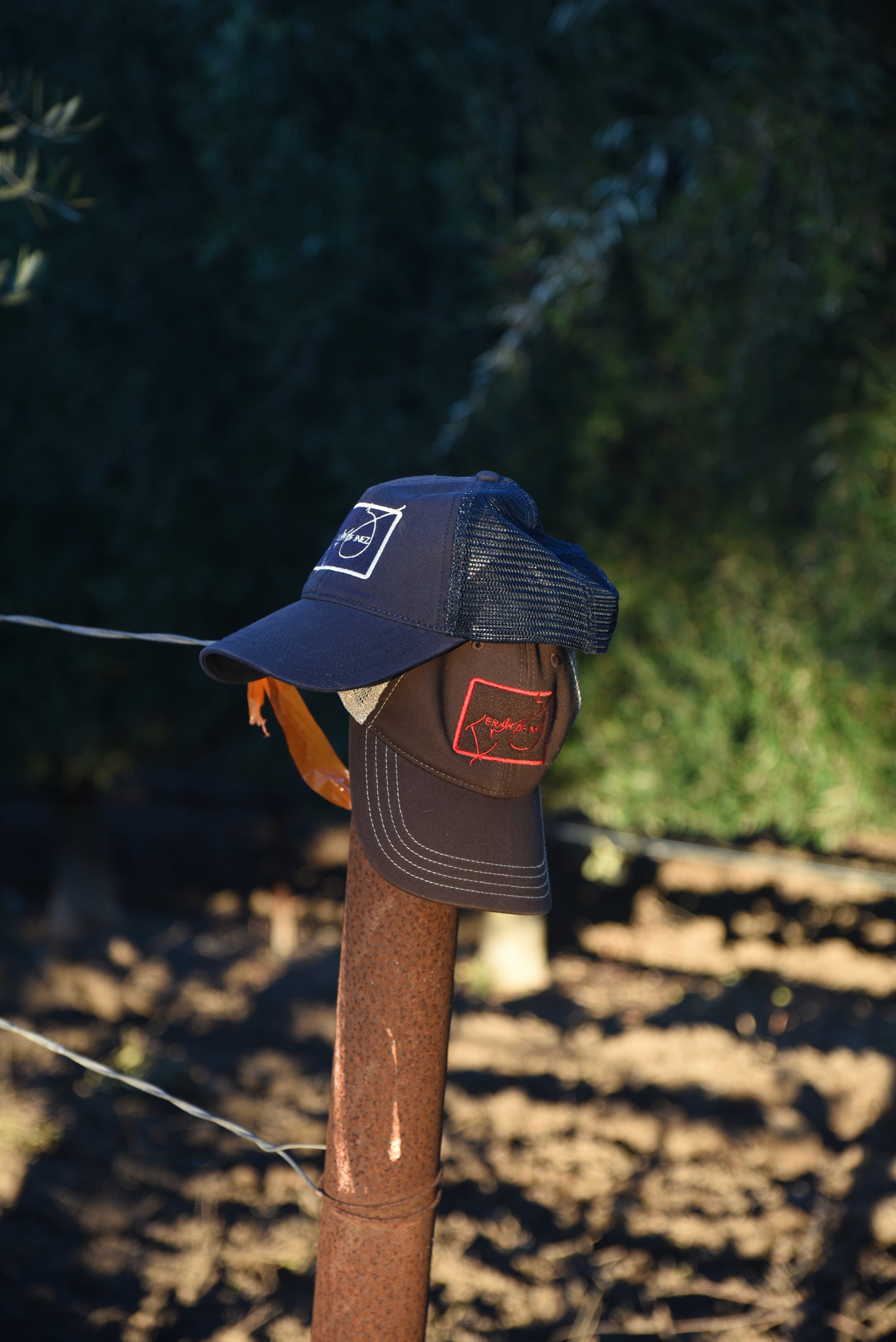 Inez Harvest Cap
