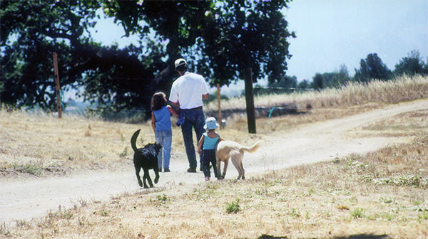 Family the in the farm