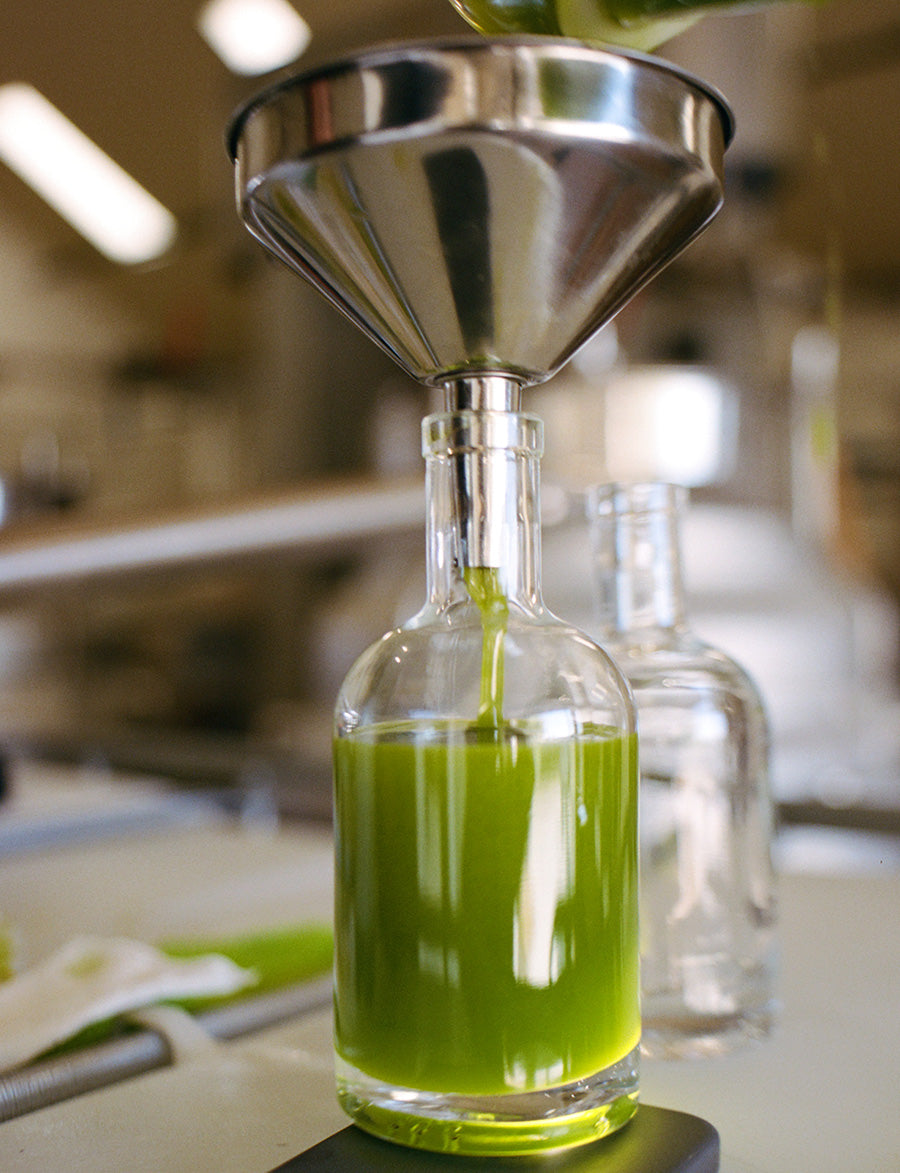 Olio nuovo bottling process